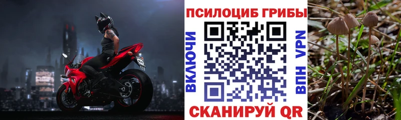 Псилоцибиновые грибы мицелий  магазин продажи   Лаишево 